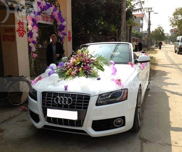 thue-xe-cuoi-Audi-S5-Mui-Tran (3)