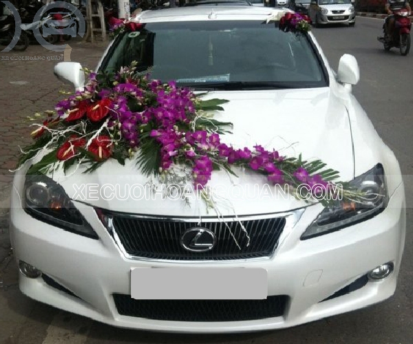 thue-xe-cuoi-Lexus-is250c-mui-tran (27)