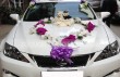 Lexus (16)