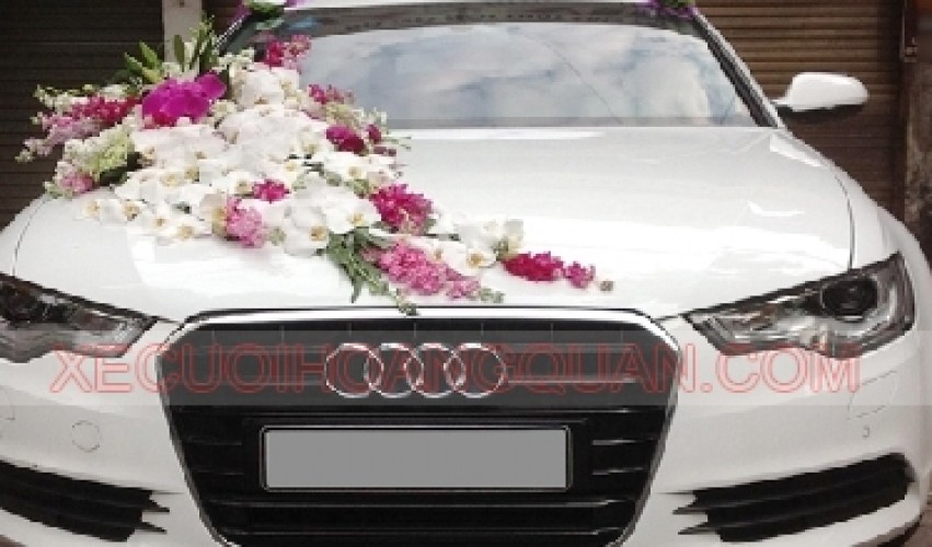 cho-thue-xe-cuoi-audi-a6-mau-trang