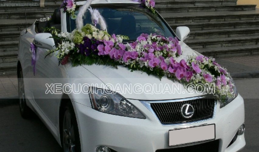 thue-xe-cuoi-Lexus-is250c-mui-tran (35)